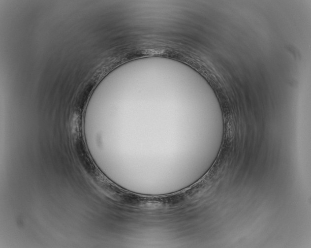 X0000110890598200906181008
