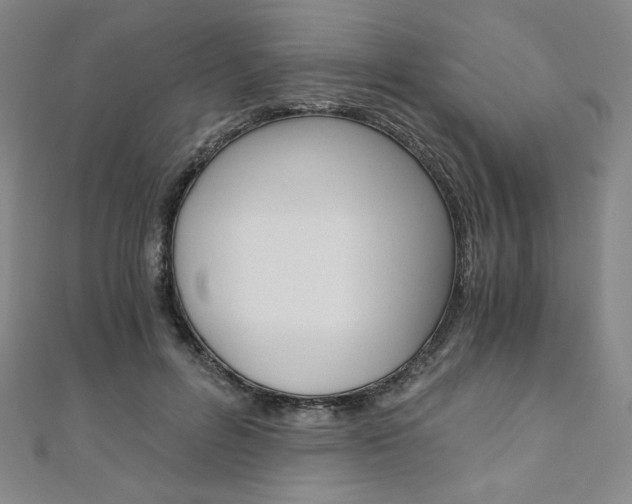 X0000110890600200906181008
