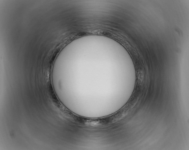 X0000110890602200906181007