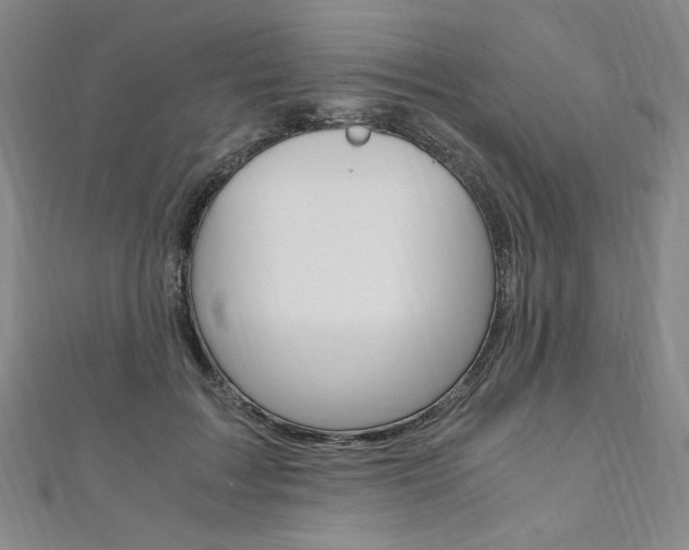 X0000110890603200906181007