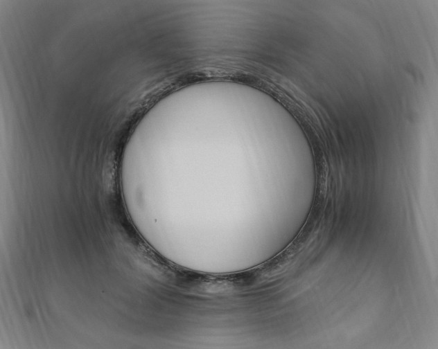 X0000110890604200906181007