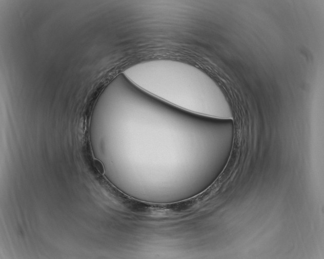 X0000110890605200906181007