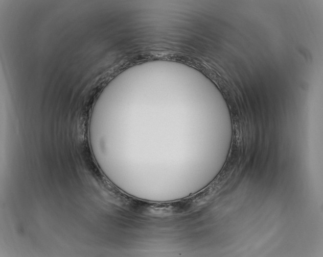 X0000110890606200906181007