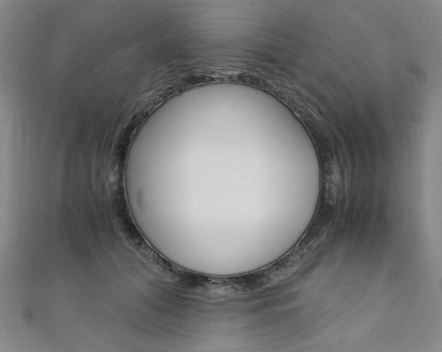 X0000110890608200906181007