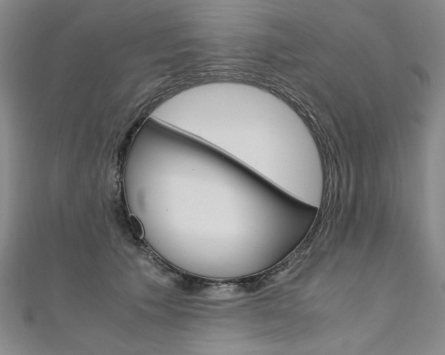 X0000110890609200906181007