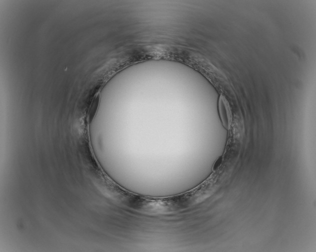 X0000110890611200906181007
