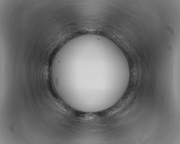 X0000110890612200906181007