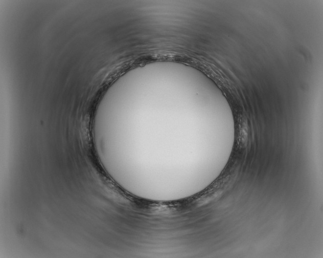 X0000110890616200906181007