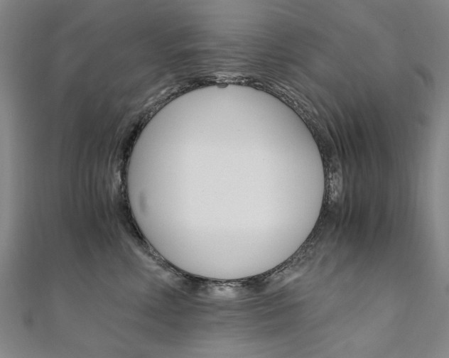 X0000110890618200906181007