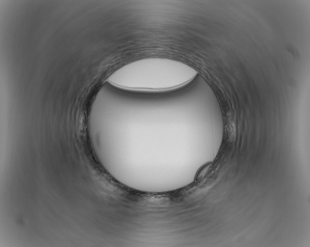 X0000110890619200906181007