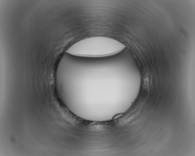 X0000110890620200906181007