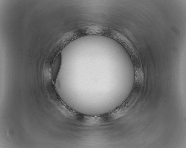 X0000110890621200906181007