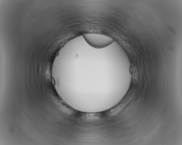 X0000110890622200906181007