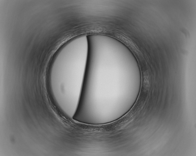 X0000110890626200906181007