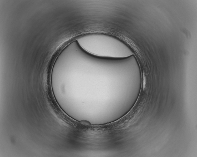 X0000110890627200906181007