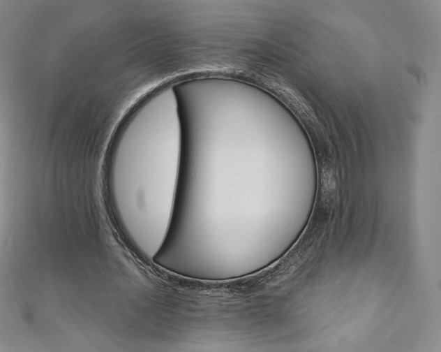 X0000110890628200906181007