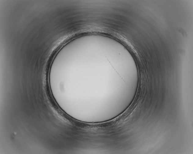 X0000110890629200906181007