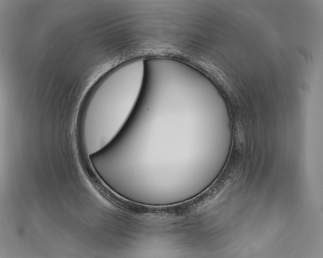 X0000110890630200906181007