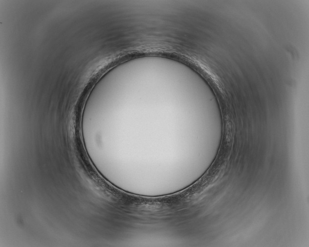 X0000110890631200906181007