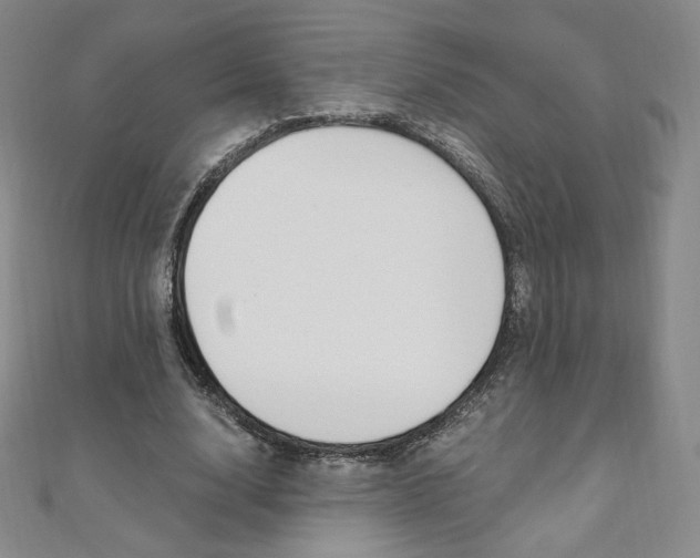 X0000110890632200906181007