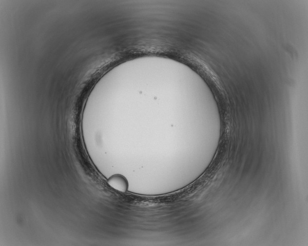 X0000110890635200906181007