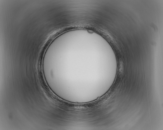 X0000110890636200906181007