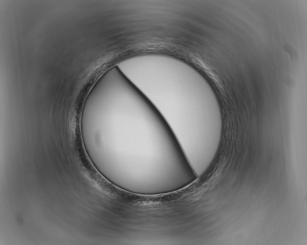 X0000110890637200906181007