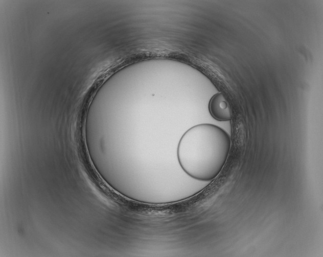 X0000110890638200906181007