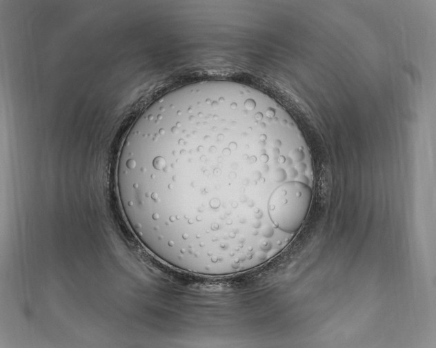 X0000110890639200906181007