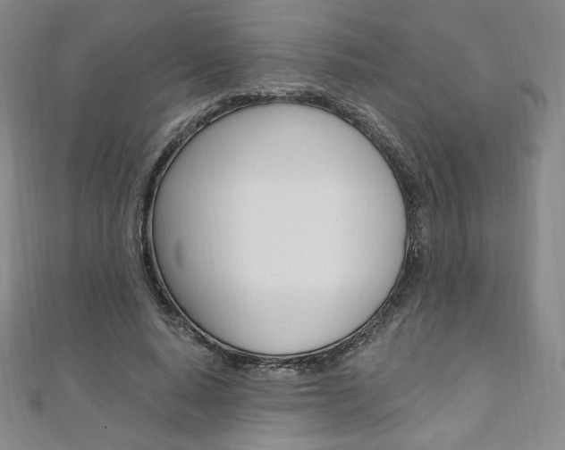 X0000110890640200906181007