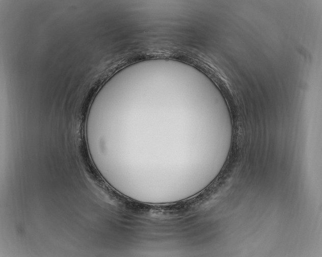 X0000110890641200906181007