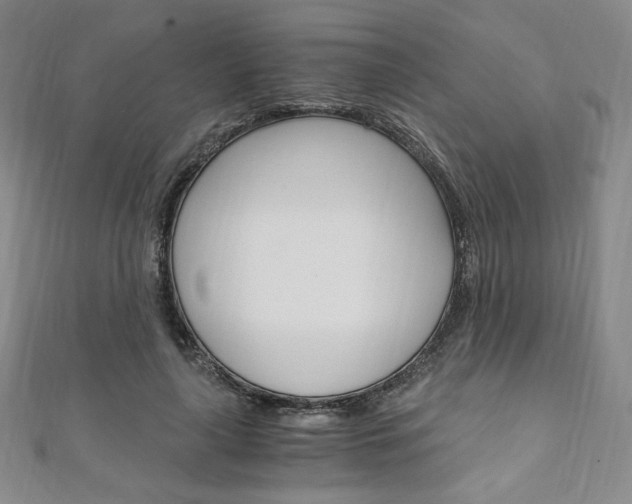 X0000110890643200906181007