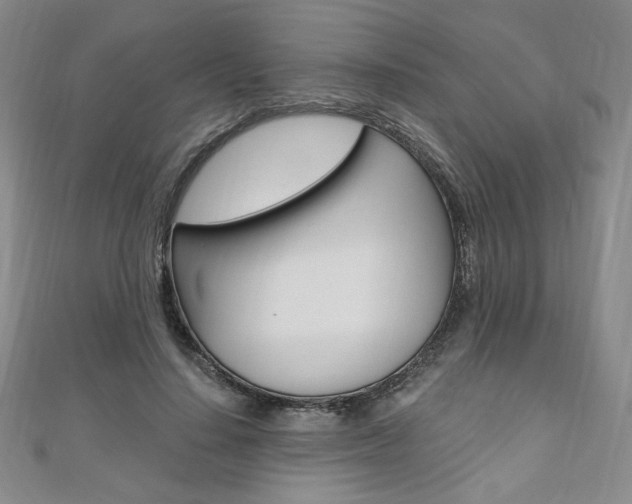 X0000110890644200906181007