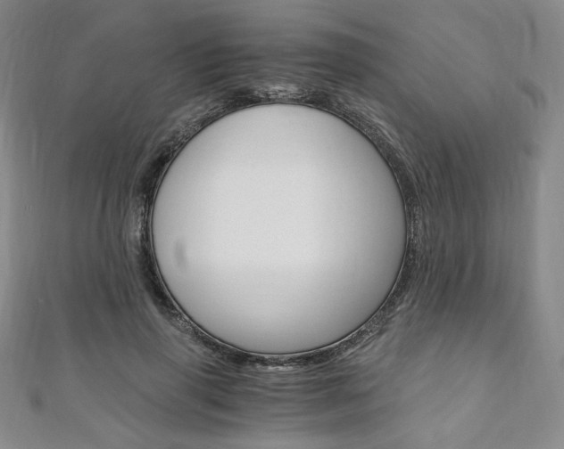 X0000110890645200906181007
