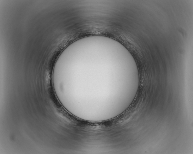 X0000110890646200906181007