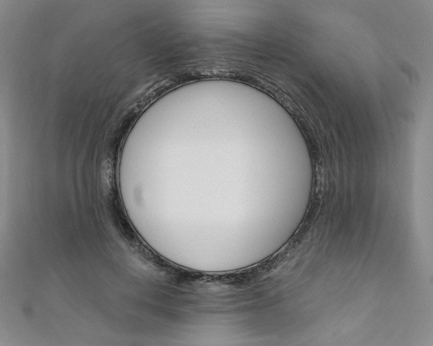 X0000110890648200906181007