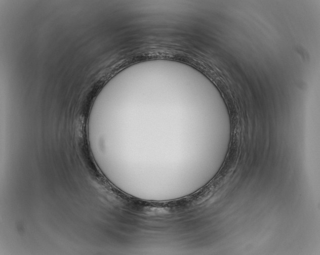 X0000110890649200906181007