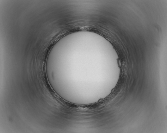 X0000110890650200906181007