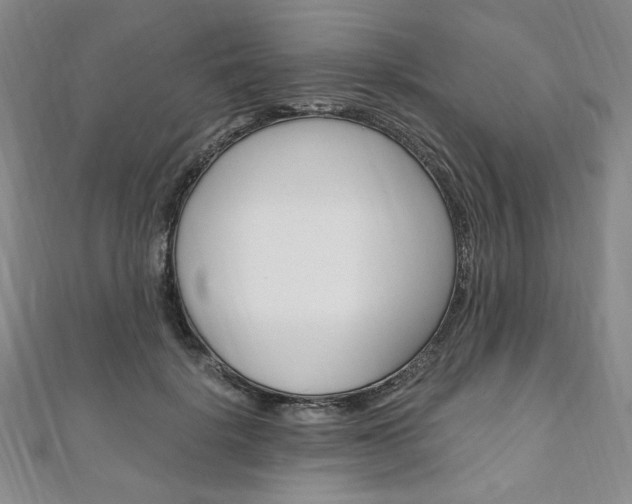 X0000110890652200906181007