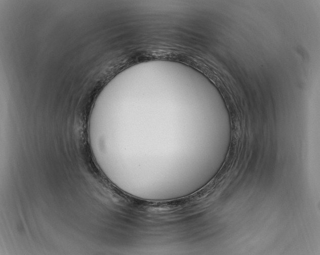X0000110890653200906181007