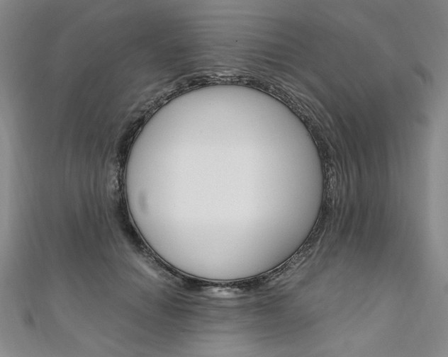 X0000110890654200906181007
