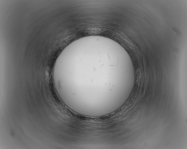 X0000110890655200906181007