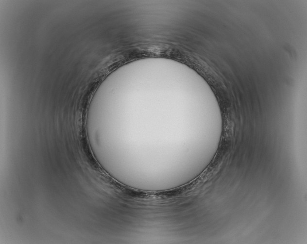 X0000110890656200906181007