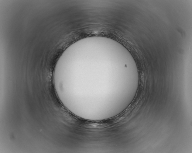 X0000110890657200906181007