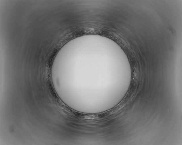 X0000110890659200906181007