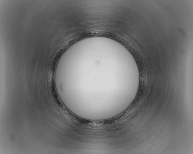 X0000110890660200906181007