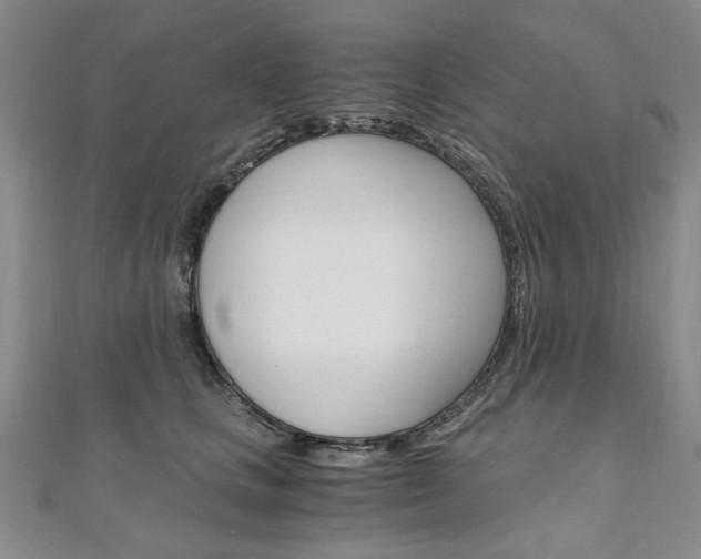 X0000110890661200906181007