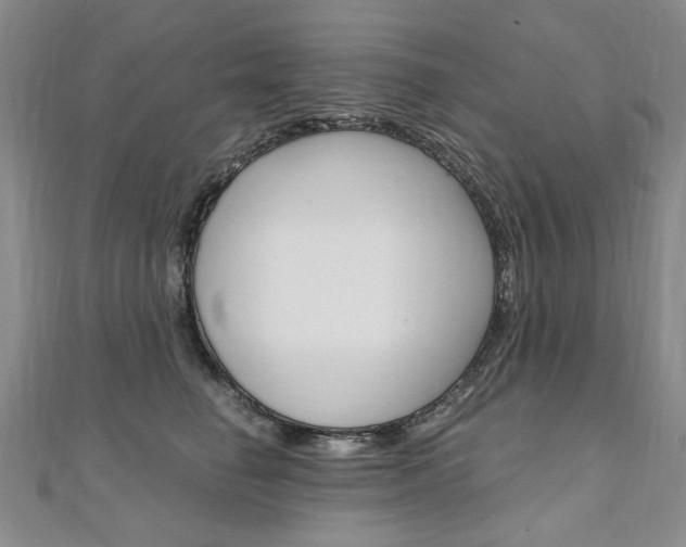 X0000110890662200906181007