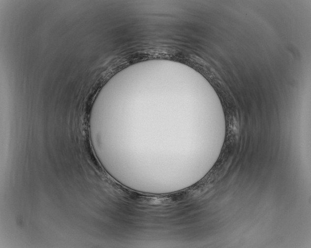 X0000110890663200906181007