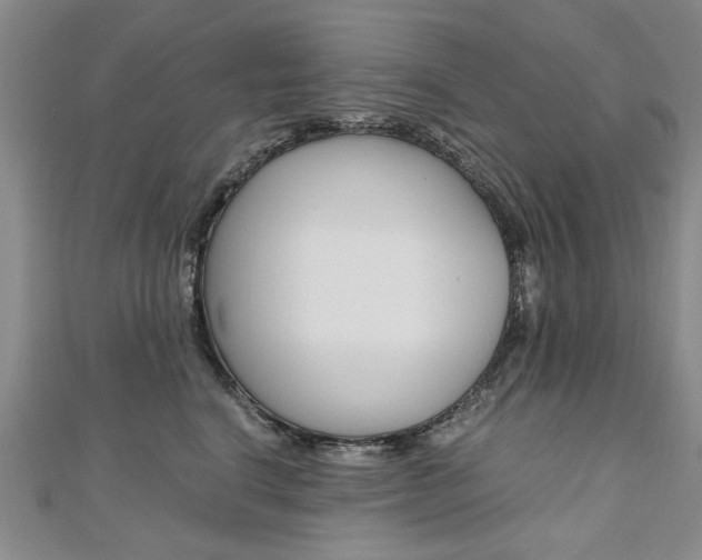 X0000110890664200906181007